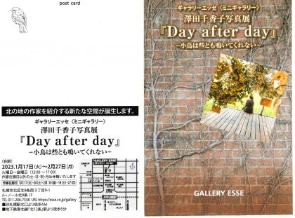 澤田千香子写真展『Day after day』 イメージ画像