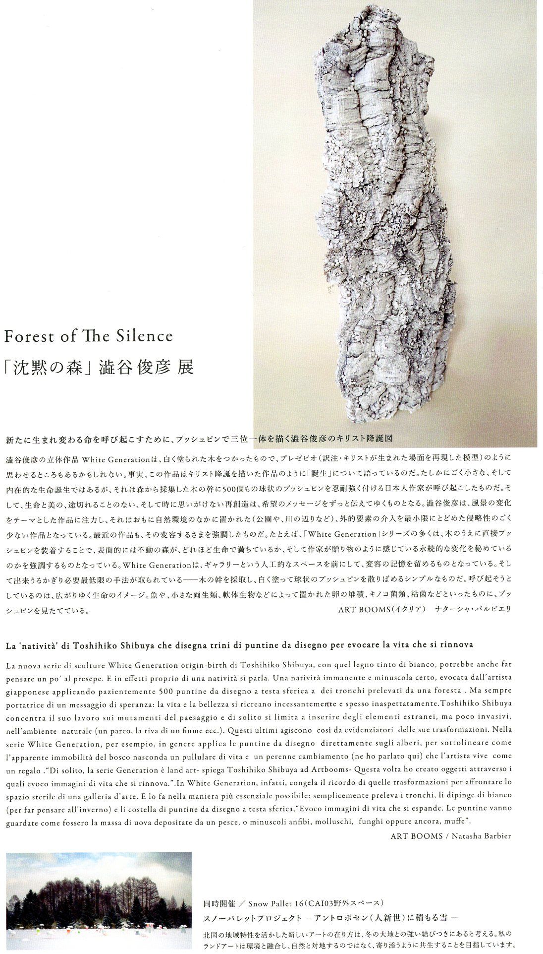 Forest of The Silence「沈黙の森」澁谷俊彦展  イメージ画像